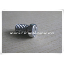 Sloted Head Screws